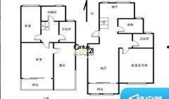 济南都市爆料事件视频播放,视频揭露惊人真相