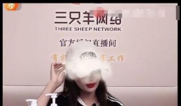 三只羊最新录音爆料,独家爆料背后的故事与真相