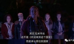 男子爆料跨年夜宴视频,揭秘豪门派对背后的秘密